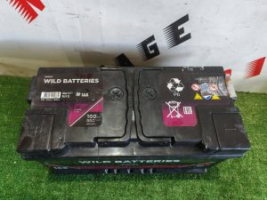 WILD Batteries 100Ah