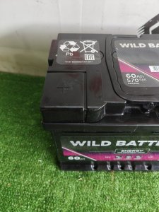 Wild batteries 60Ah 570