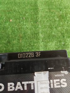 Wild batteries 60Ah 570